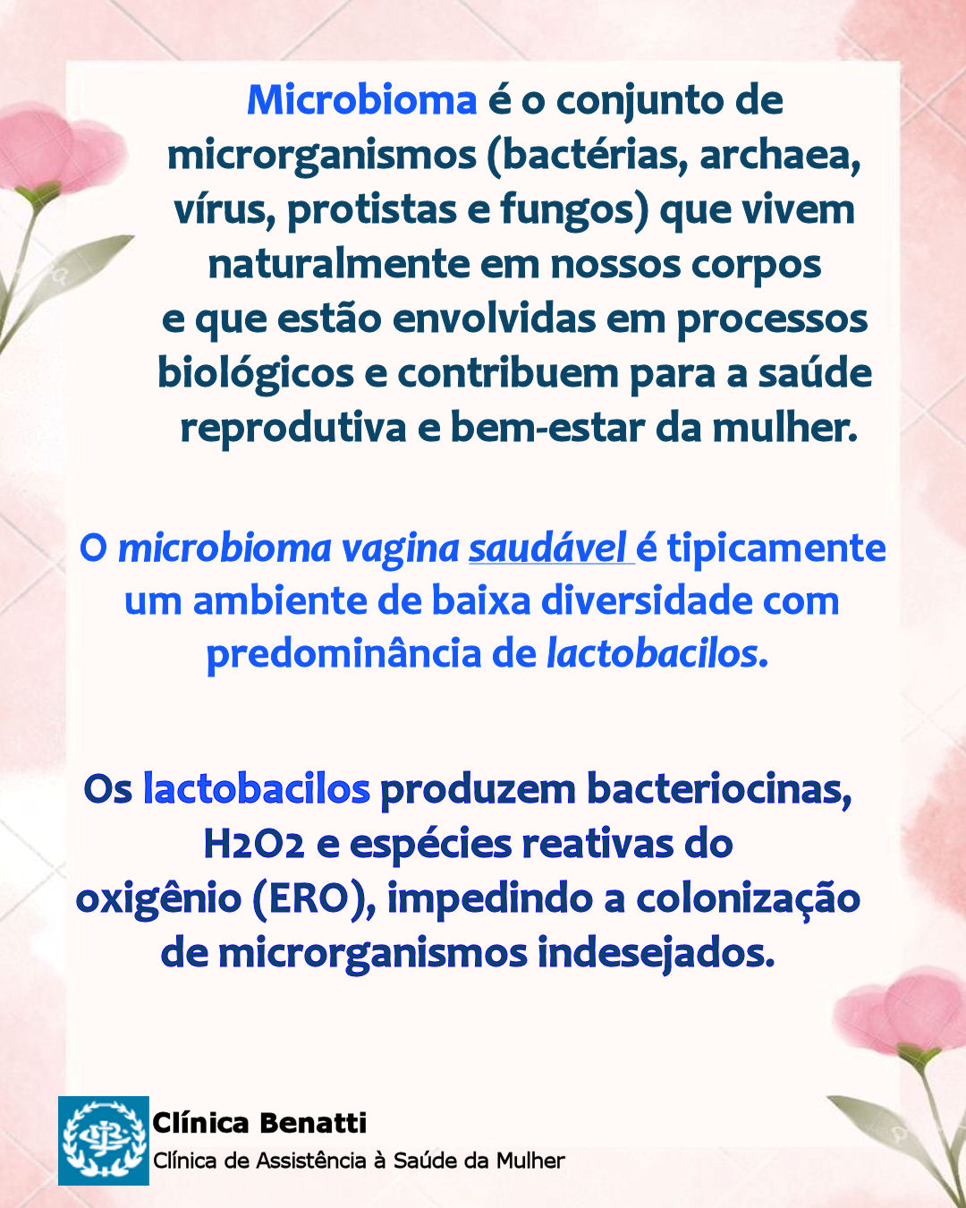 Microbioma Vaginal