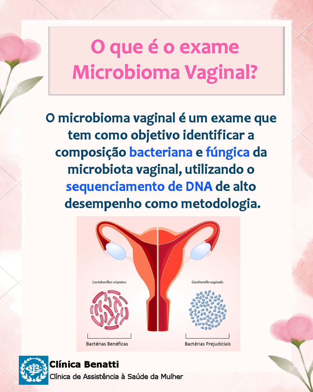 O que é o Exame Microbioma Vaginal?